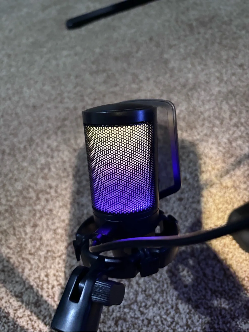 Professional Black Microphone with Adjustable Boom Arm